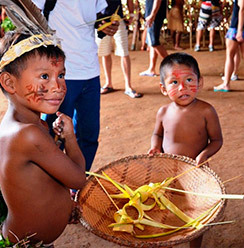 Povos Indígenas, Amazonas