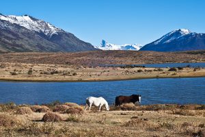 El Calafate