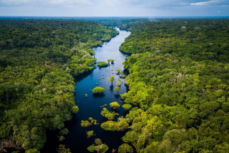 Aventure-se na floresta em Sobrevivência na Amazônia