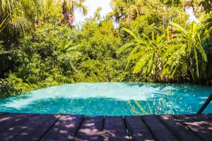 Jalapão fervedouros in Brazil - Natural swimming pool