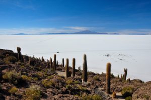 Salar-de-Uyuni-4-galeria