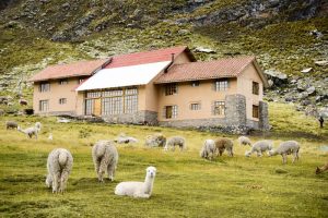Andean-Lodge-Peru5-galeria80