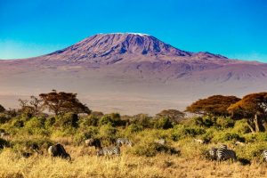 Amboseli-Quenia2-galeria80