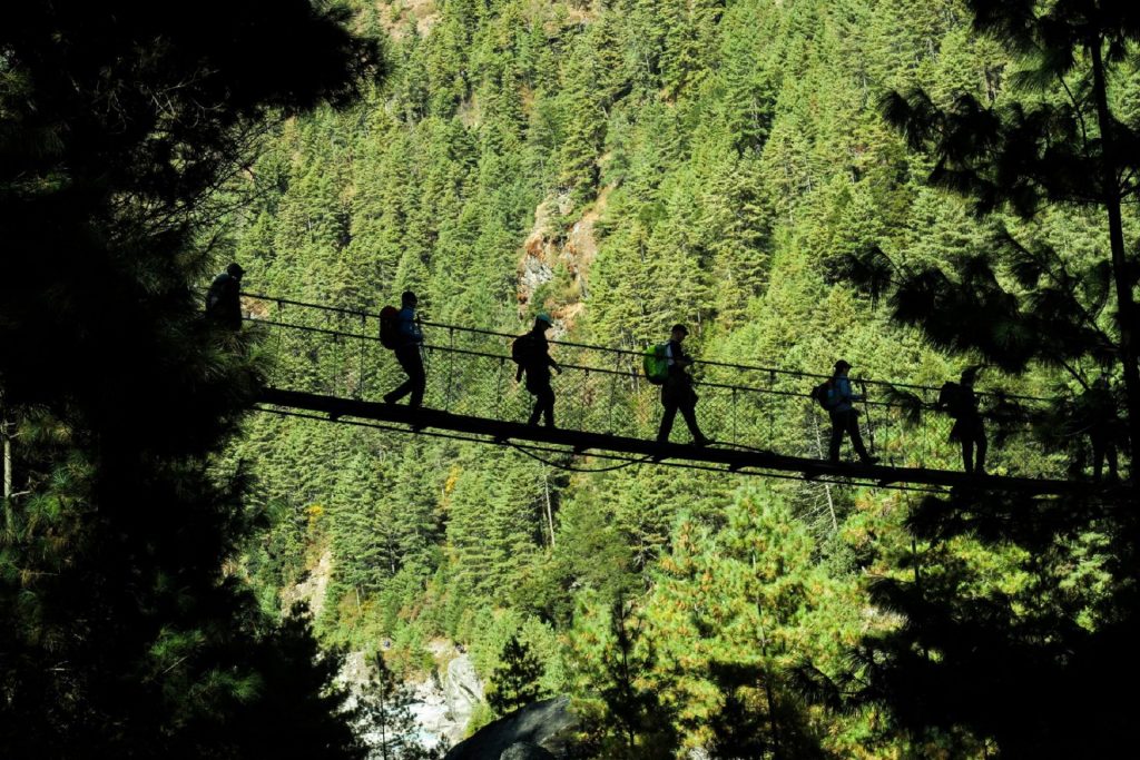 chapada dos veadeiros topo