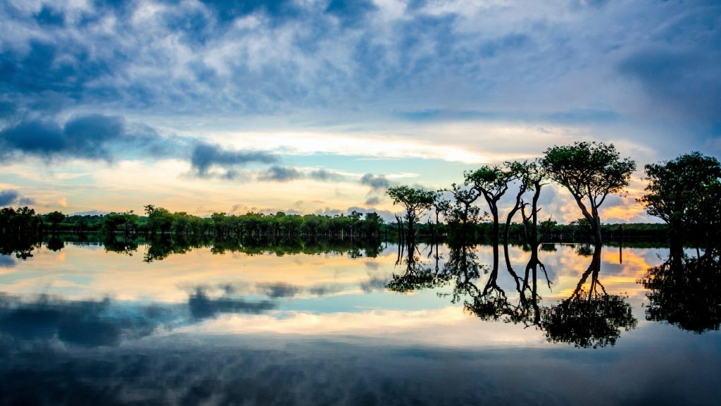 peru com amazonia topo