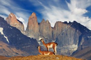 torres-del-paine-chile-1-galeria-80