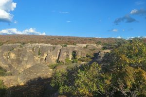 Serra-da-Capivara-galeria-80