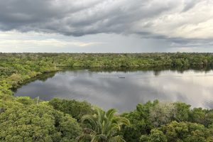 Amazonia-Juma-Lodge5-galeria80