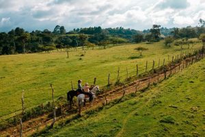 Tempo-Colombia-San-Agustin4-galeria80