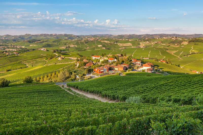 Destinos para os amantes de vinhos: Piemonte, na Itália