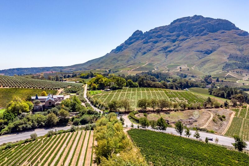 Stellenbosch, na África do Sul, é um dos destinos para os amantes de vinhos